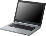 Sony VAIO VGN-N31ZR/W