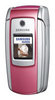 Samsung SGH-M300