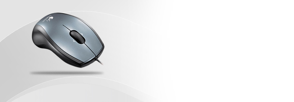 Logitech V100