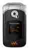 Sony Ericsson SONYERICSSON W300i